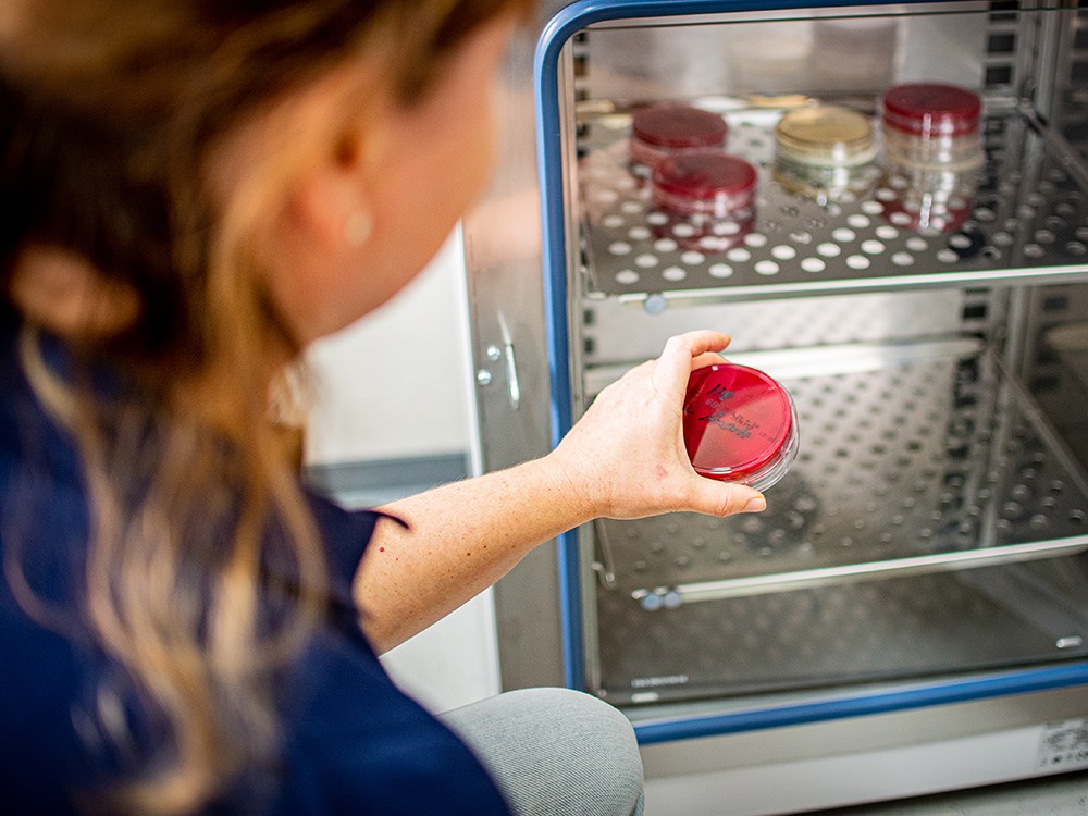Mitarbeiterin entnimmt Laborprobe aus Kühlschrank